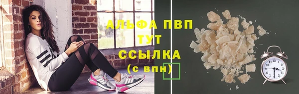 PSILOCYBIN Верхний Тагил