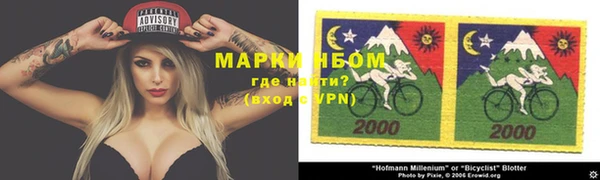 PSILOCYBIN Верхний Тагил