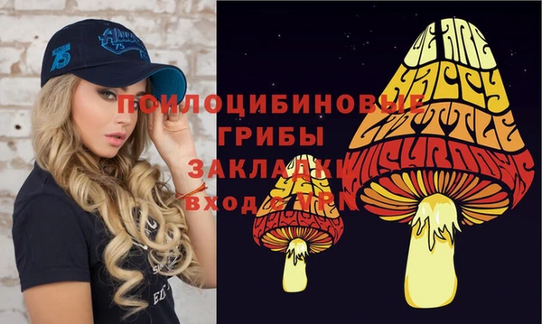 мдпв Верея