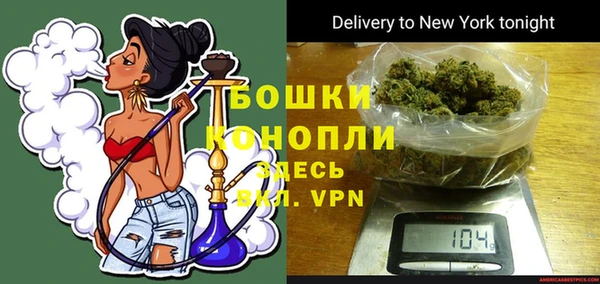 PSILOCYBIN Верхний Тагил