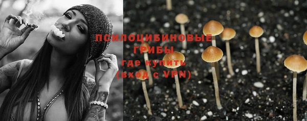 дмт Слюдянка