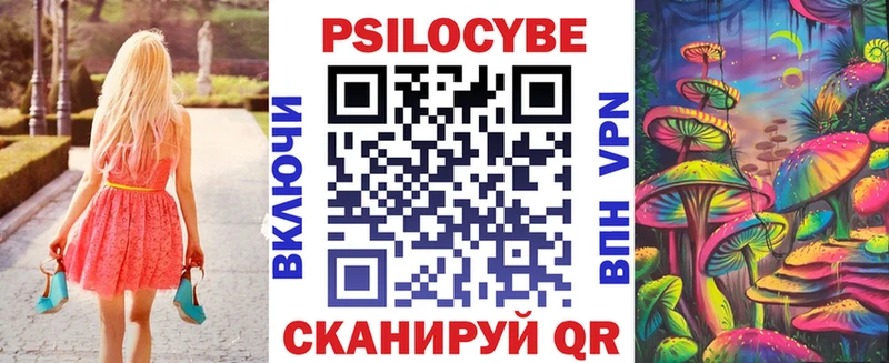 Галлюциногенные грибы Cubensis  Карачаевск 