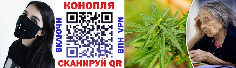 купить  цена  Карачаевск  Бошки марихуана Ganja 
